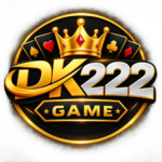 DK222 Game